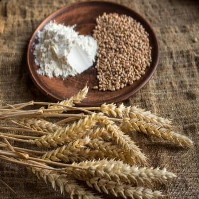 Wheat Flour