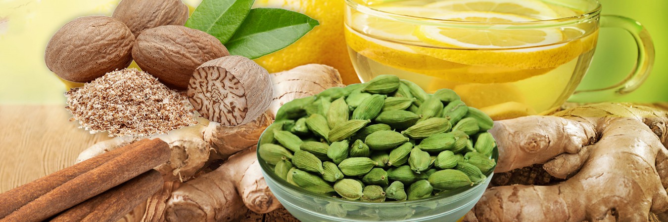 Edible Oil / Cooking Oil